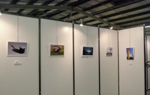 Exposition à La Teste de Buch